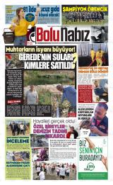 BOLU NABIZ