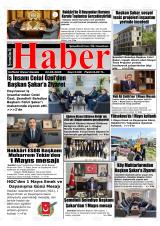 ŞEMDİNLİ HABER