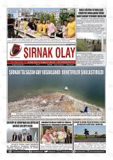 ŞIRNAK OLAY