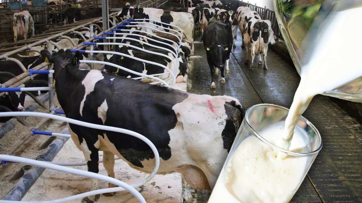 TÜİK açıkladı! Süt ve süt ürünlerine yeni zamlar gelebilir