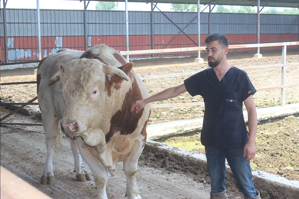 Görenler hayrete düştü: Otomobil fiyatında boğa!