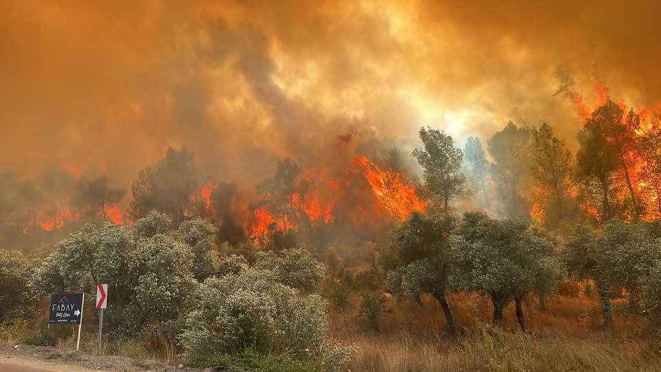 Antalya ve Muğla’da orman yangını çıktı! Alevler büyüyor…