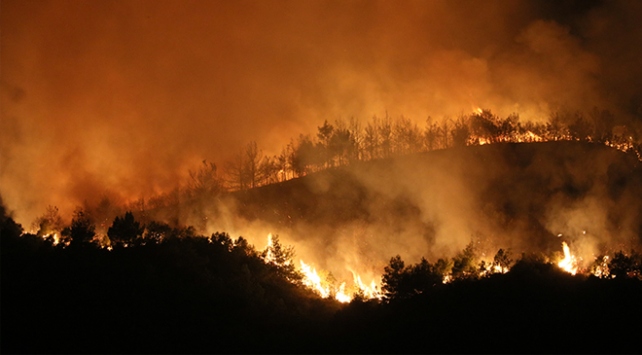 Hatay’daki orman yangını bir günün ardından kontrol altına alındı!