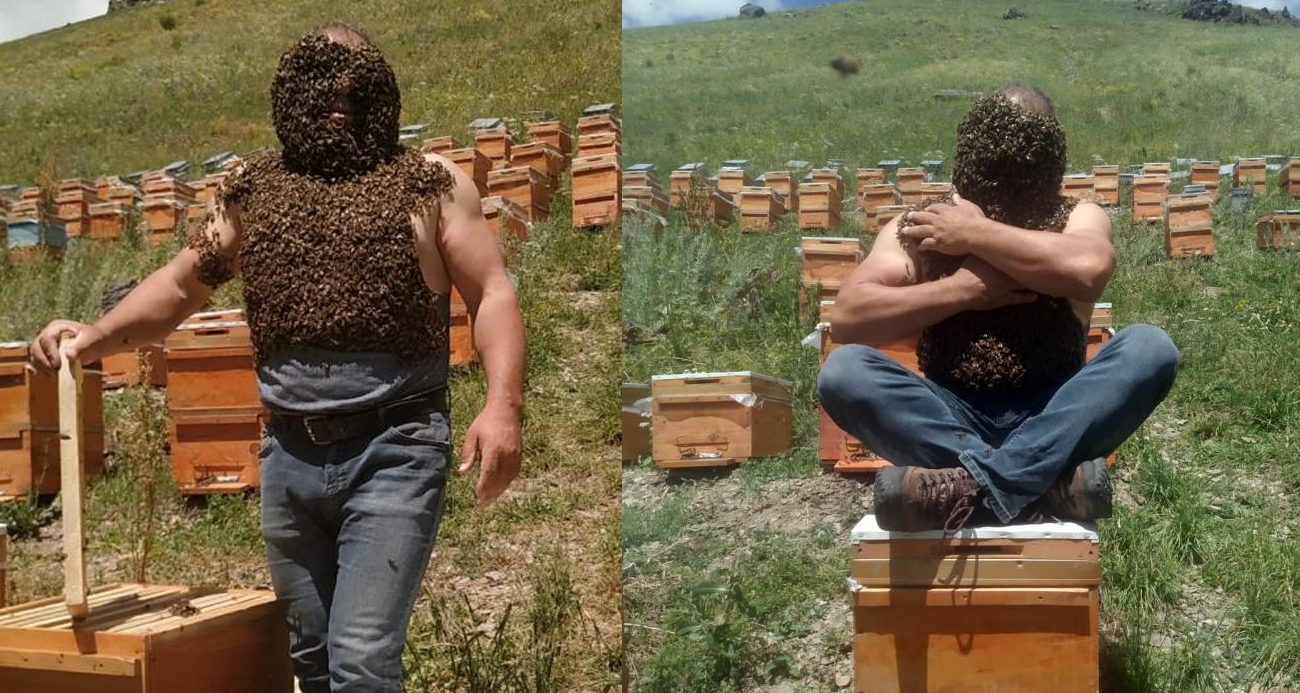 Vücuduna binlerce arı aldı kameralara poz verdi!