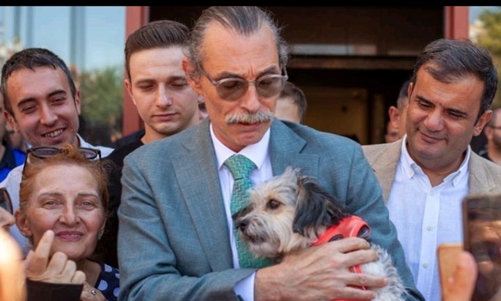 CHP’li Beşikçioğlu, sokak köpeklerine belediyede iş verecek!