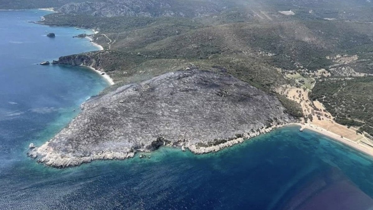 İzmir’deki binlerce hektar alanı yakıp yıkan orman yangınının çıkış nedeni belli oldu