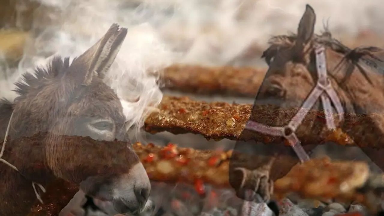 Vatandaşa dana diye at-eşek eti yedirdiler! Bakanlık skandalı ifşa etti