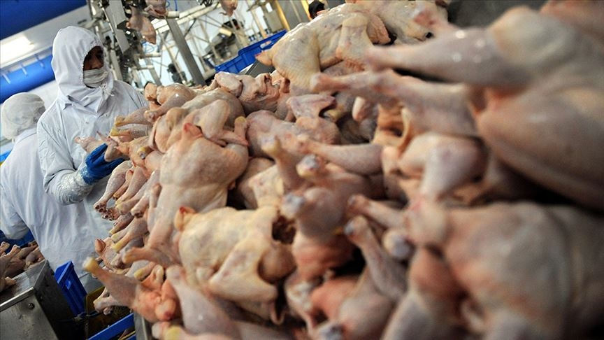 Market raflarında sessiz tehlike: Ünlü tavuk markasında ölümcül bakteri!