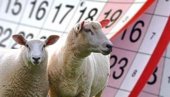 Kurban Bayramında kamu için tatil günleri belli oldu! Resmi açıklama geldi