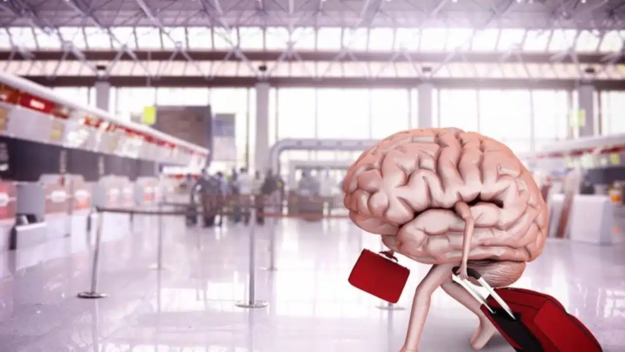 Türkiye’den Almanya’ya beyin göçünün önü açıldı