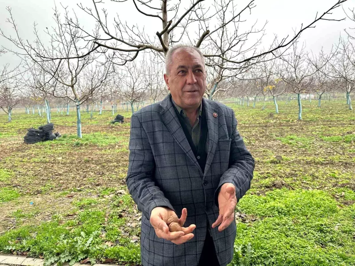 Doktorlar ve iş adamları sıraya girdi: Bursa’nın bu köyünde dönümü 500 bin lira!