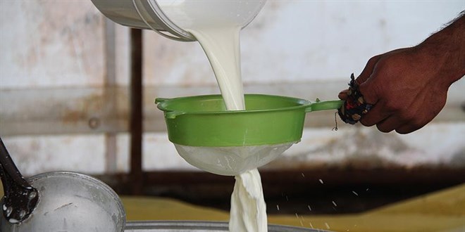 USK çiğ süt tavsiye fiyatını duyurdu!
