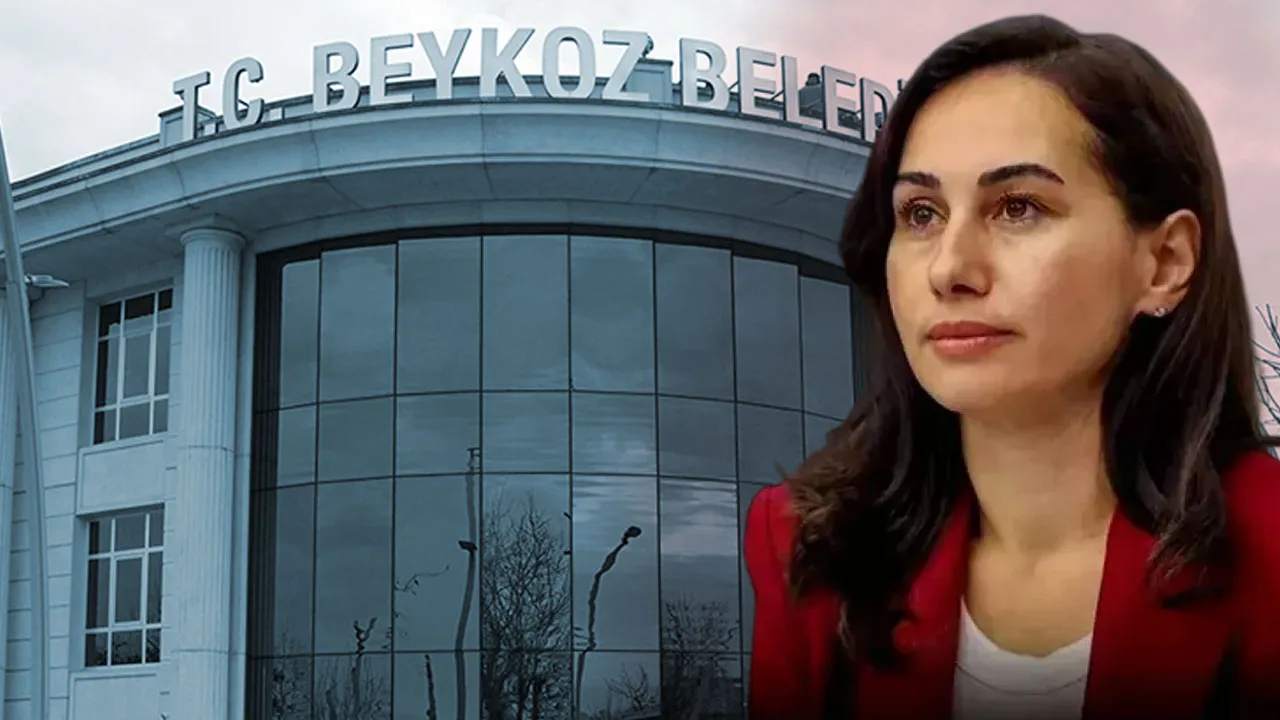 Şoke eden iddia: Bu pasta hepimize yeter