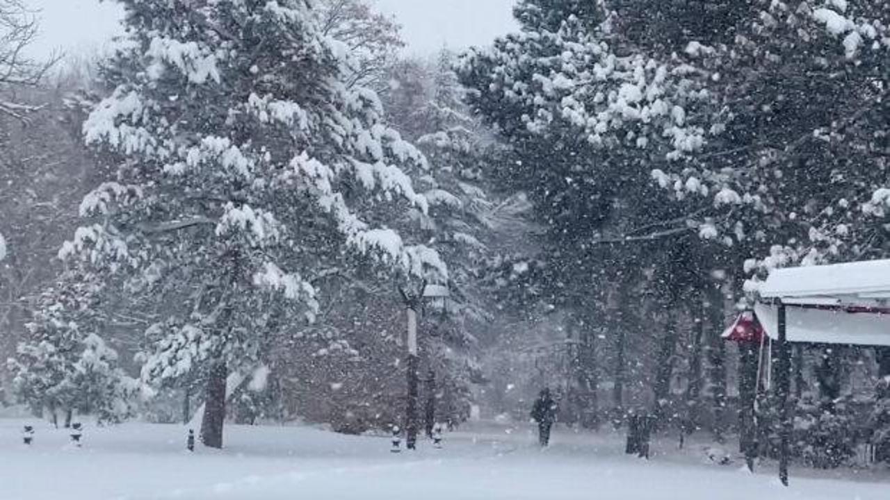 Erzincan’da kardan 524 köy yolu kapandı
