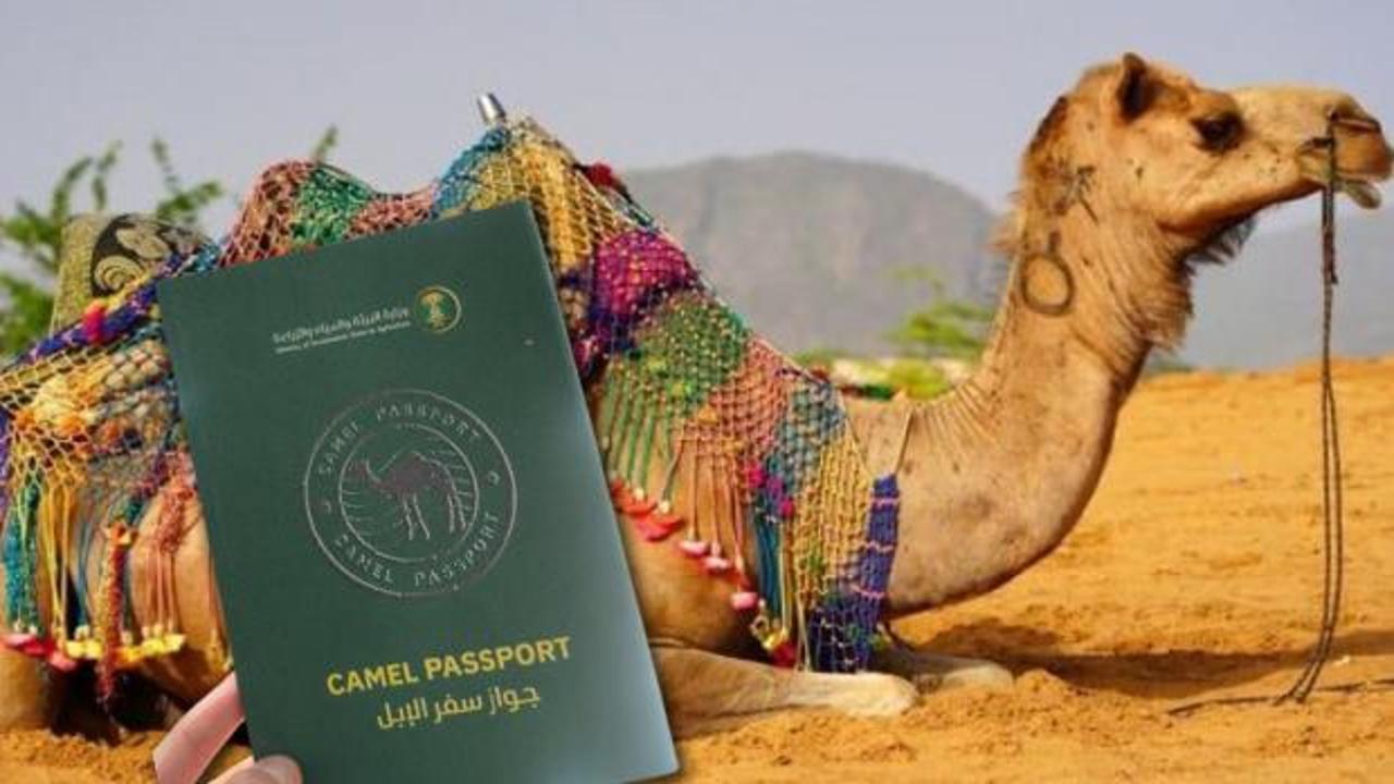 Suudi Arabistan develere pasaport verecek! Hükümetten yeni düzenleme