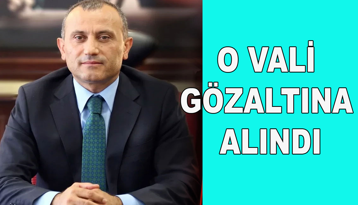 Gülistan Doku soruşturmasında beklenen hamle!