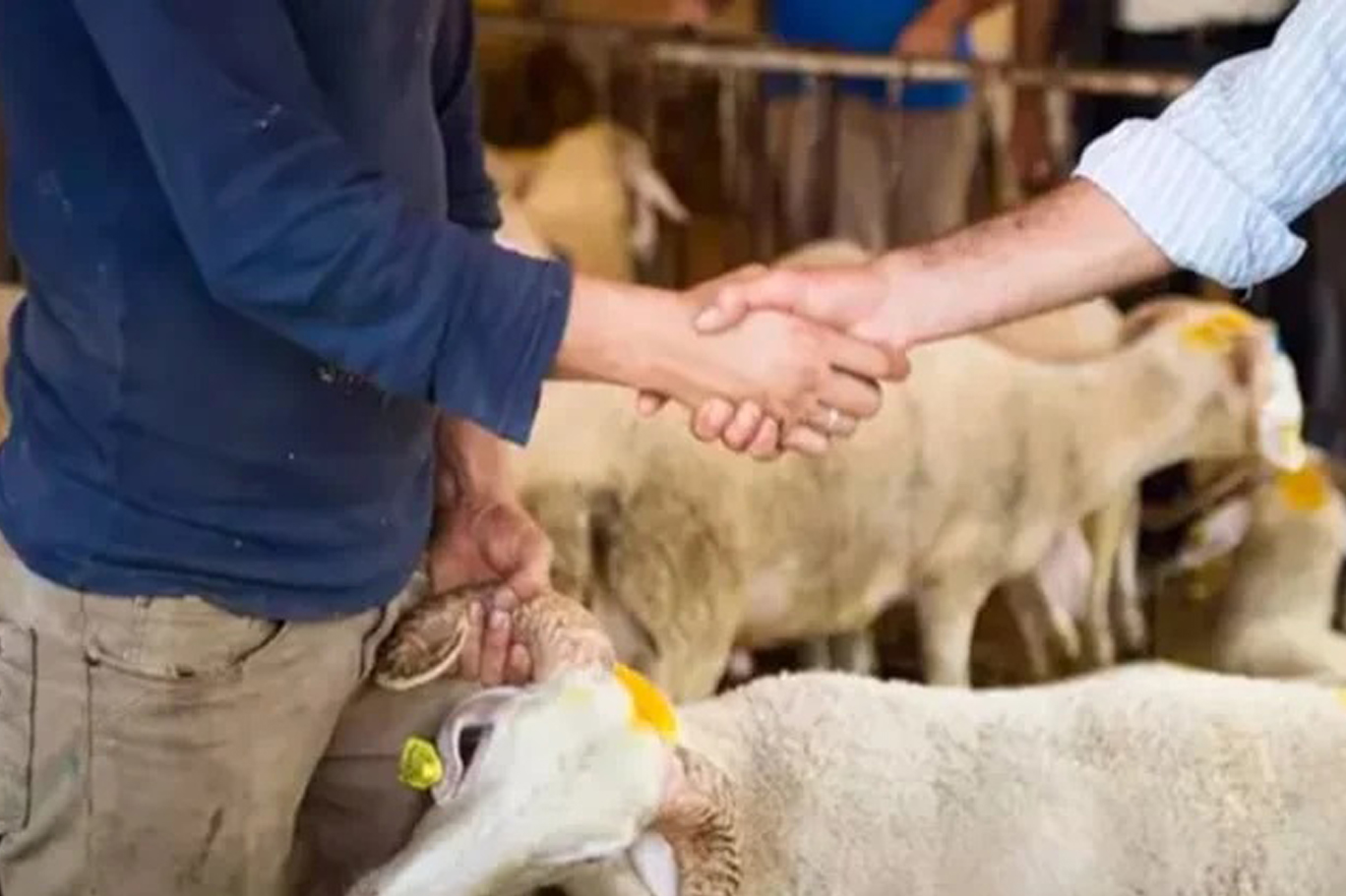 Emekliye kurbanlık hayal oldu