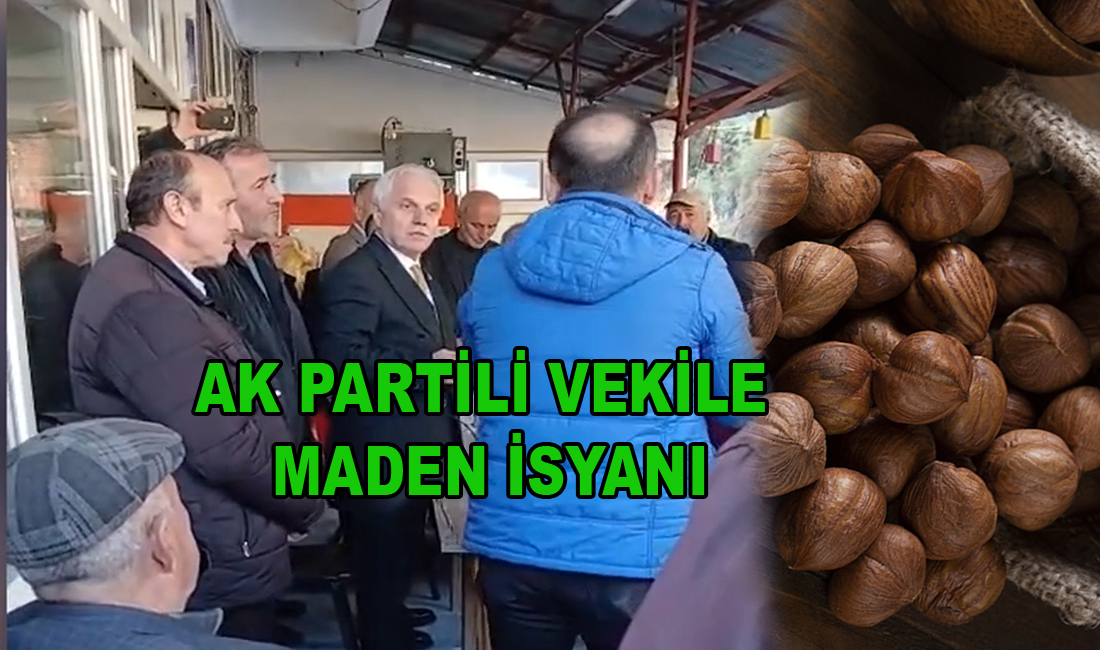 Ak Partili Vekile Fındık Üreticilerinden Maden İsyanı